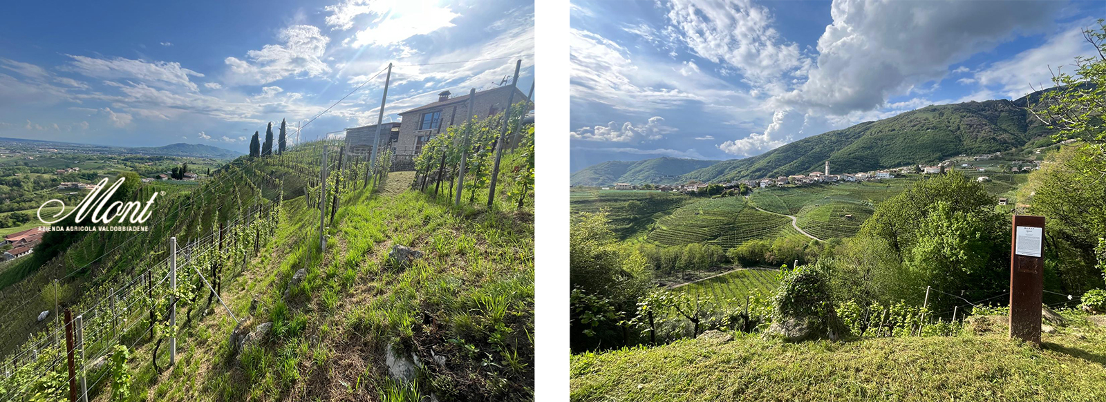 colline
